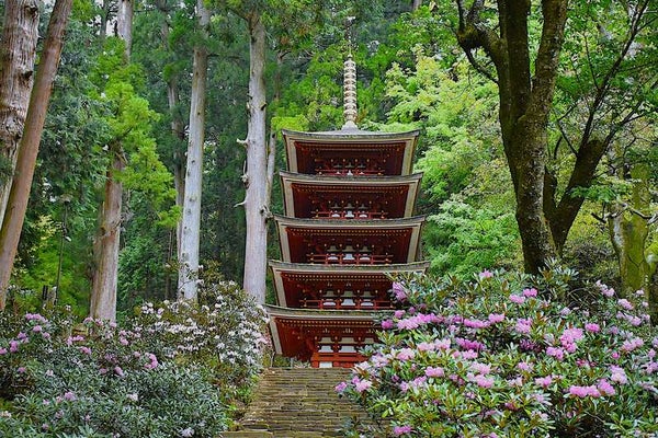 【愛媛県内発】 関西花めぐりと天空の大パノラマ「びわ湖テラス」 3日間2
